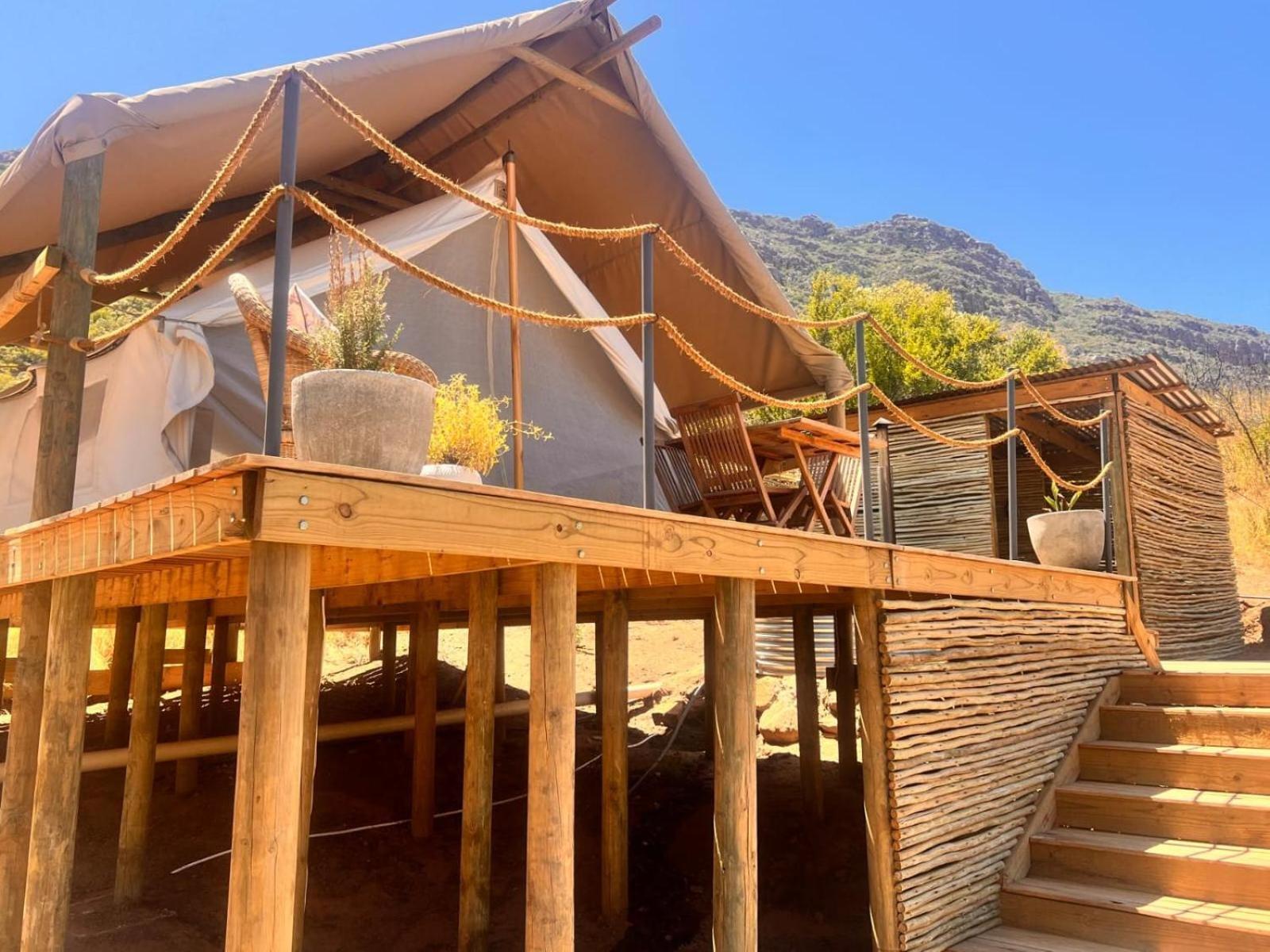 Leopard Valley Eco Retreat Сітрусдал Номер фото