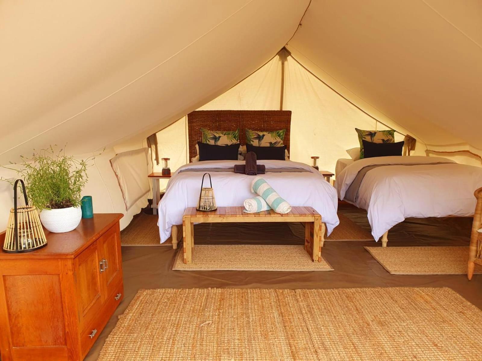 Leopard Valley Eco Retreat Сітрусдал Номер фото