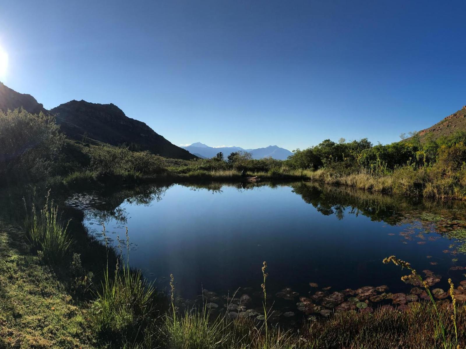 Leopard Valley Eco Retreat Сітрусдал Номер фото