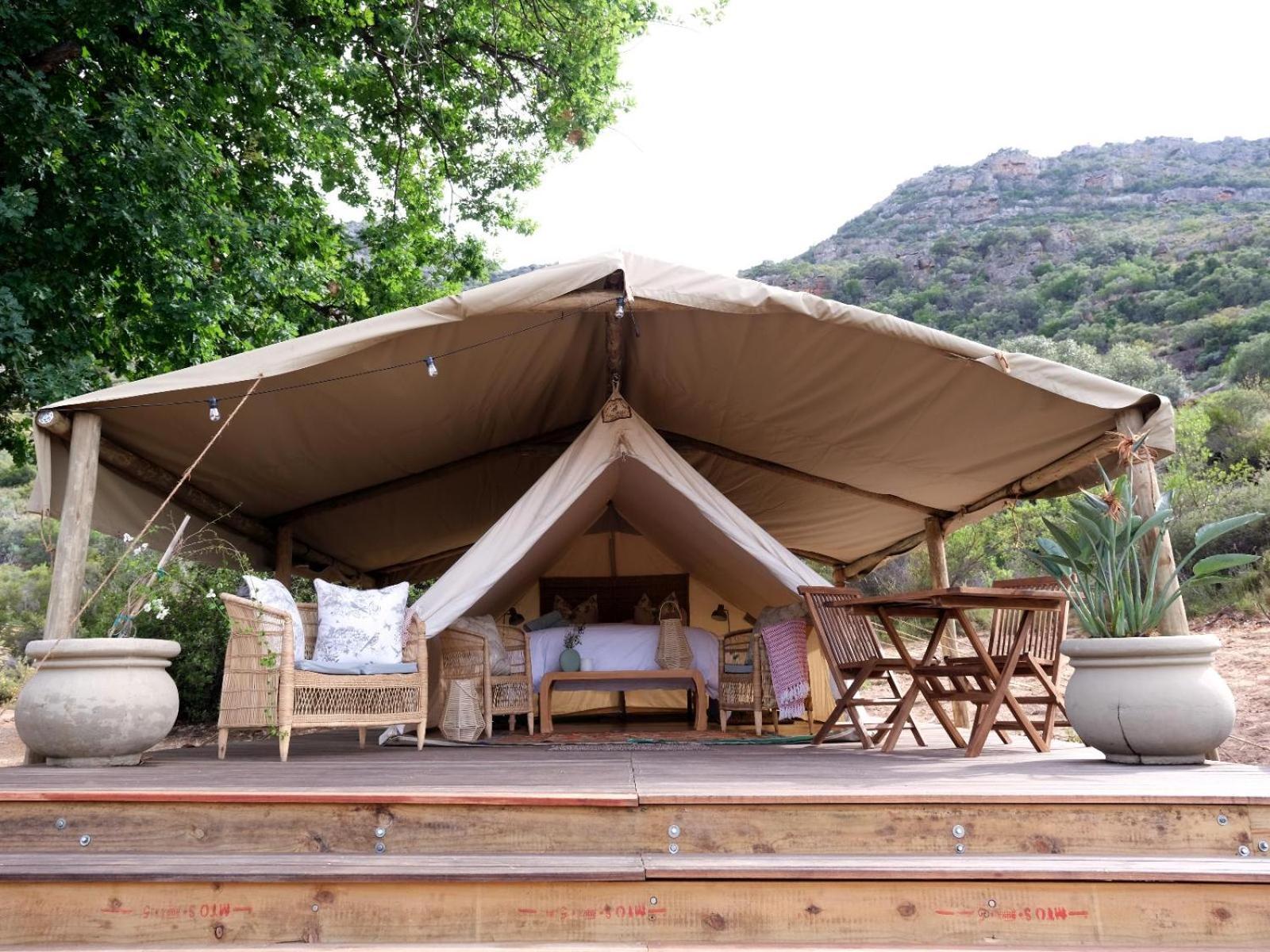 Leopard Valley Eco Retreat Сітрусдал Номер фото