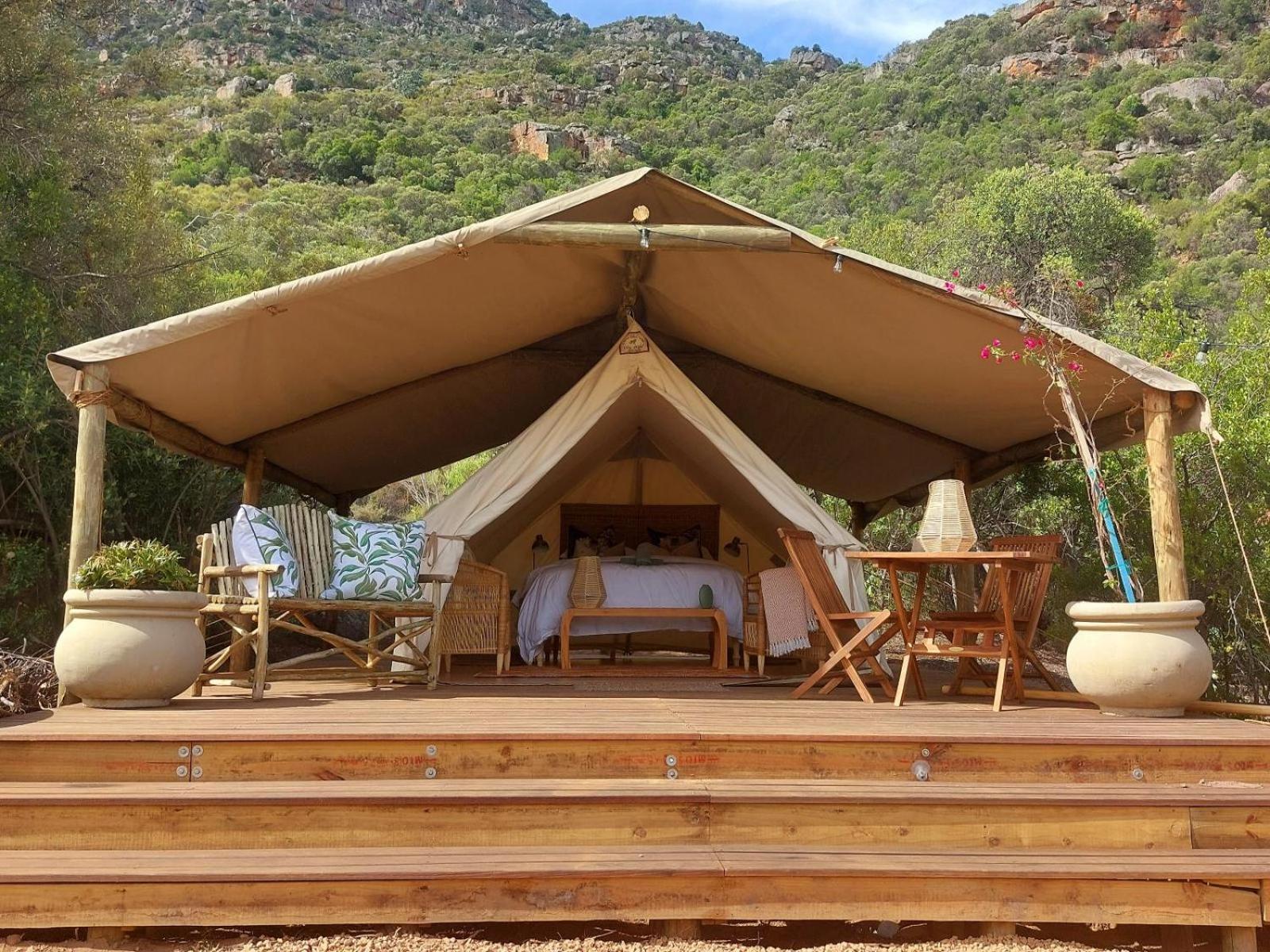 Leopard Valley Eco Retreat Сітрусдал Номер фото
