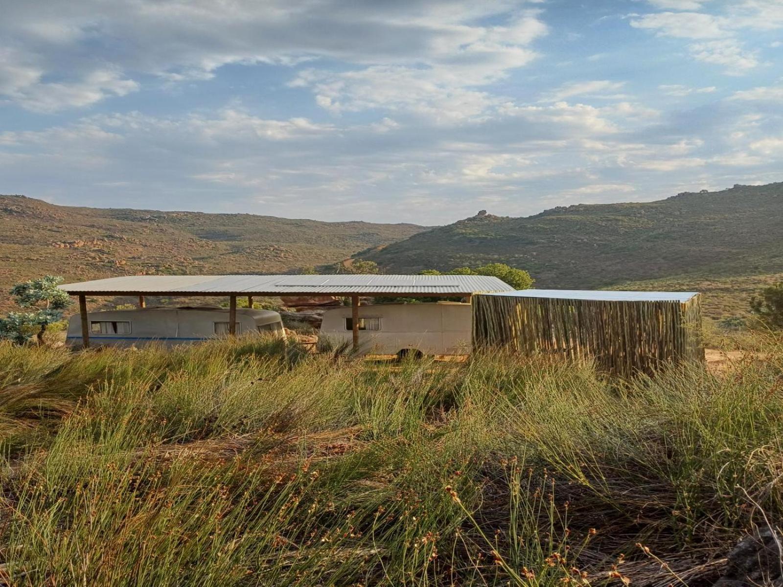 Leopard Valley Eco Retreat Сітрусдал Номер фото
